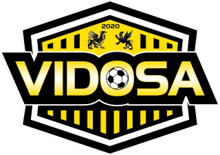 VIDOSA Logo