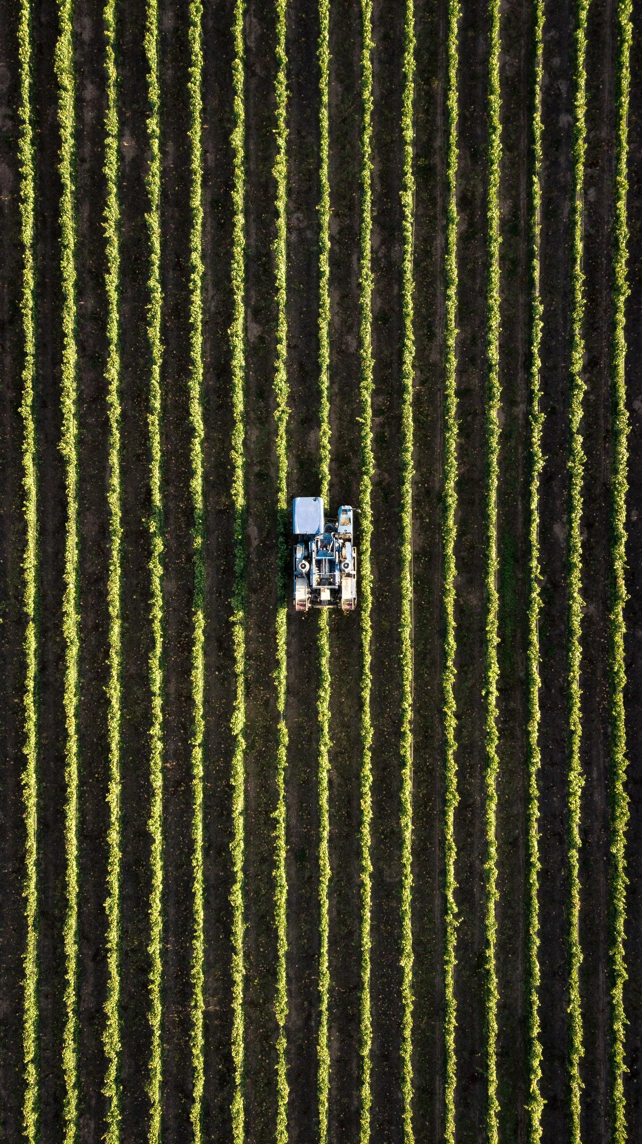Portfolio Cinematic Aerial View