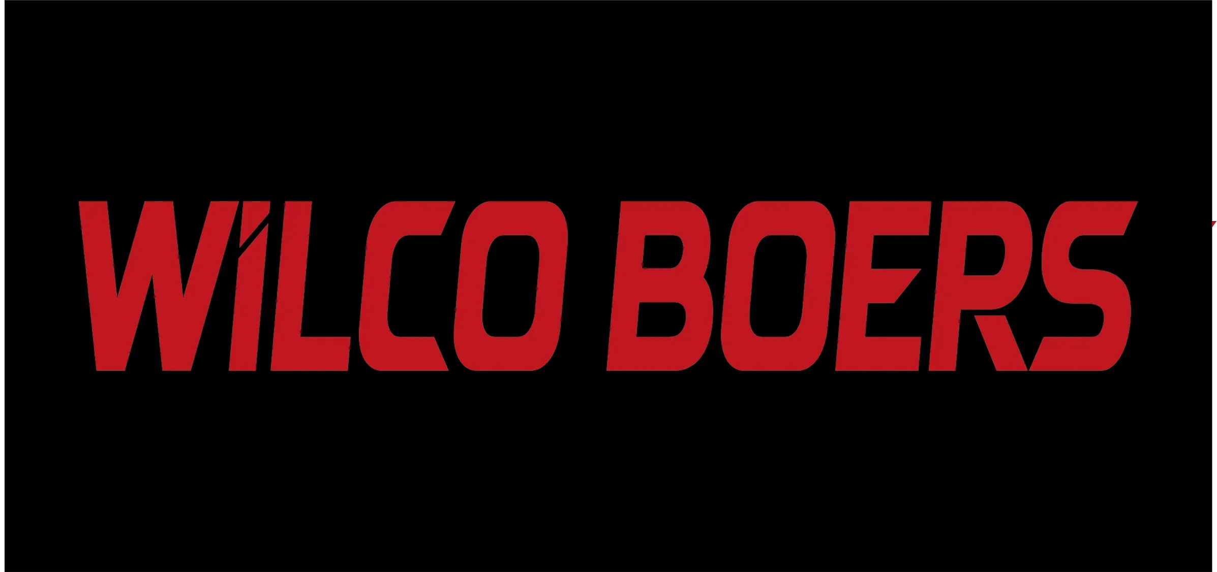 Sponsor 2