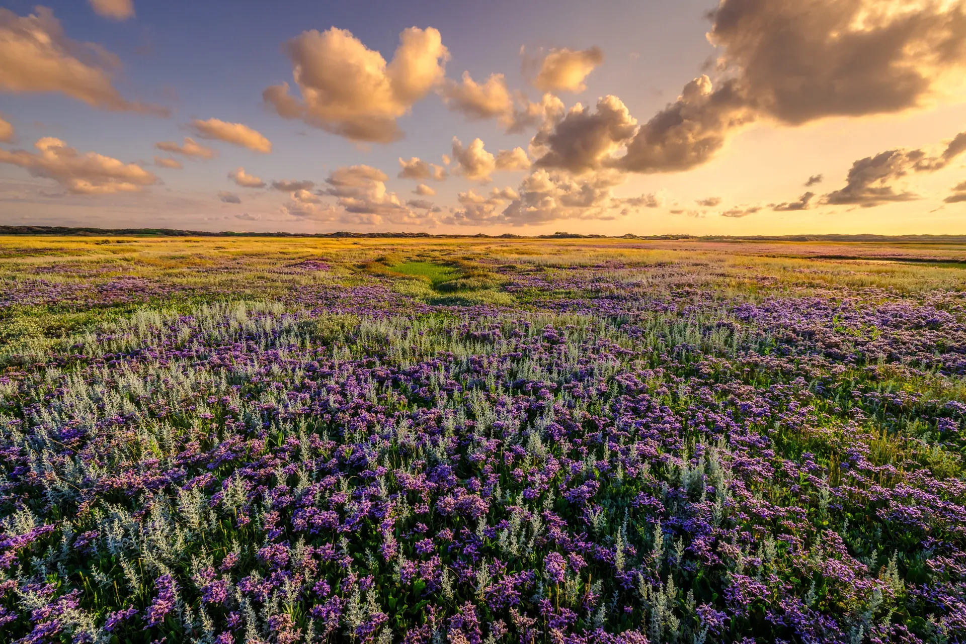 Prachtige landschapsfotografie door Andy Luberti