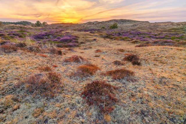 Landschapsfotografie
