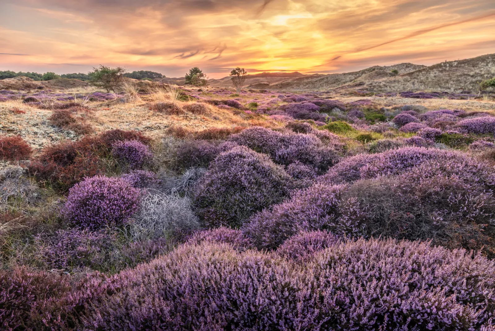 Prachtige landschapsfotografie door Andy Luberti