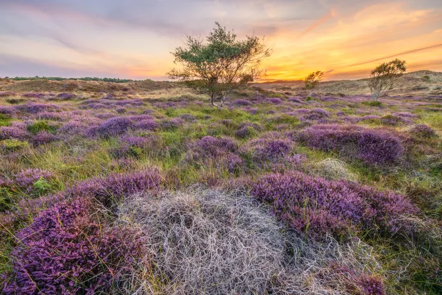 Landschapsfotografie
