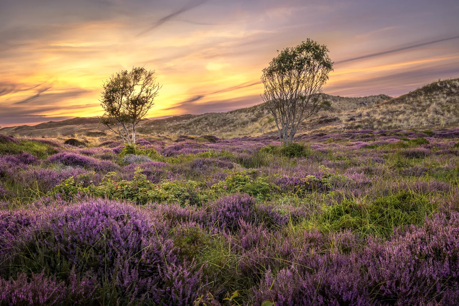 Landschapsfotografie