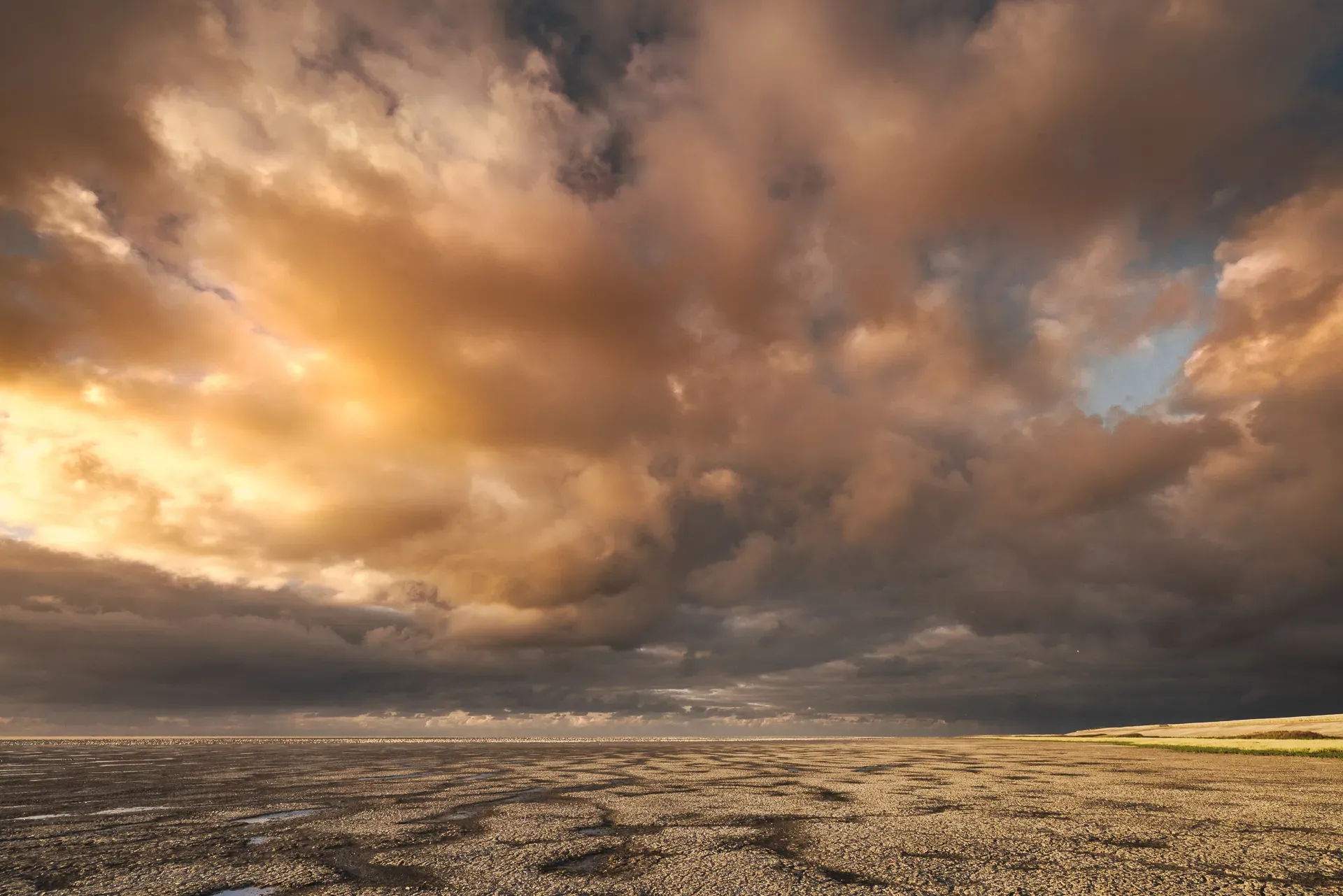 Natuurfoto van heidelandschap in Hilversum