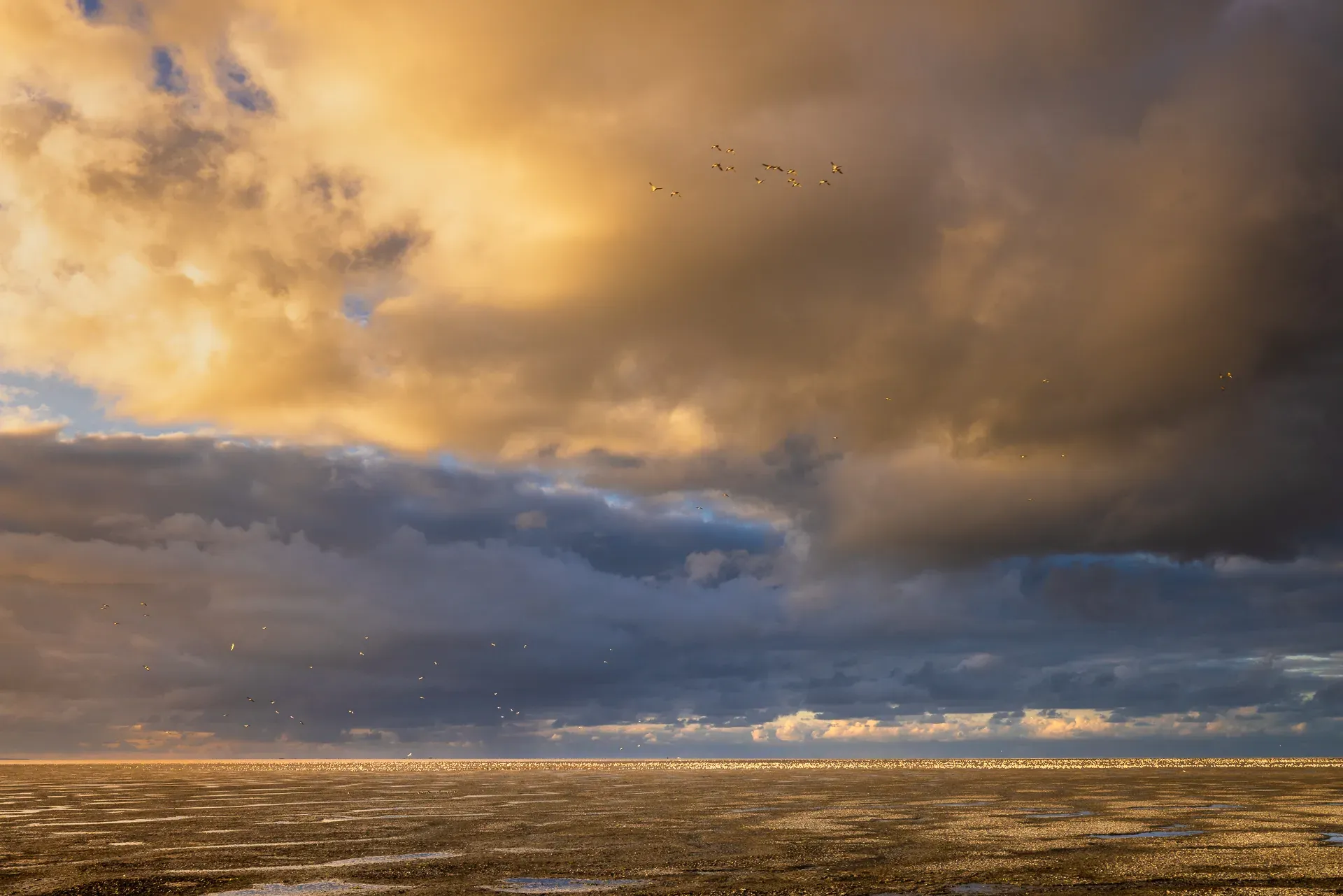 Prachtige landschapsfotografie op Texel