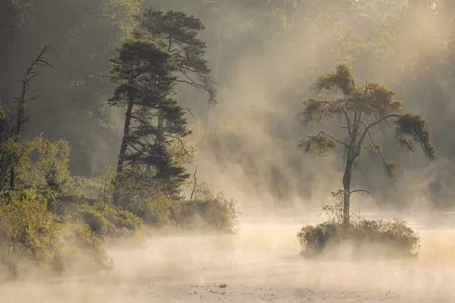 Gooische natuur vastgelegd in Hilversum