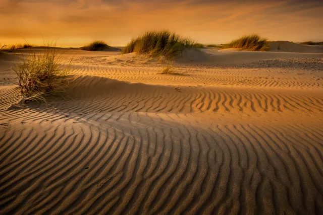 Prachtige landschapsfotografie op Texel