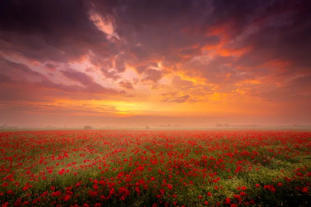 Landschapsfoto voor kalenders en fotocadeau's