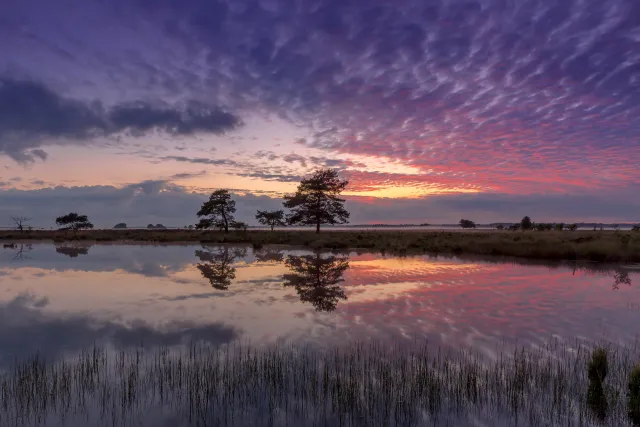Rustgevend landschap als wanddecoratie