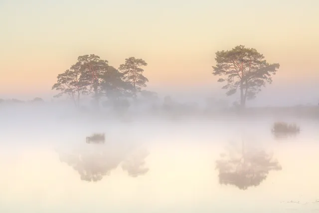 Uniek natuurmoment in het landschap