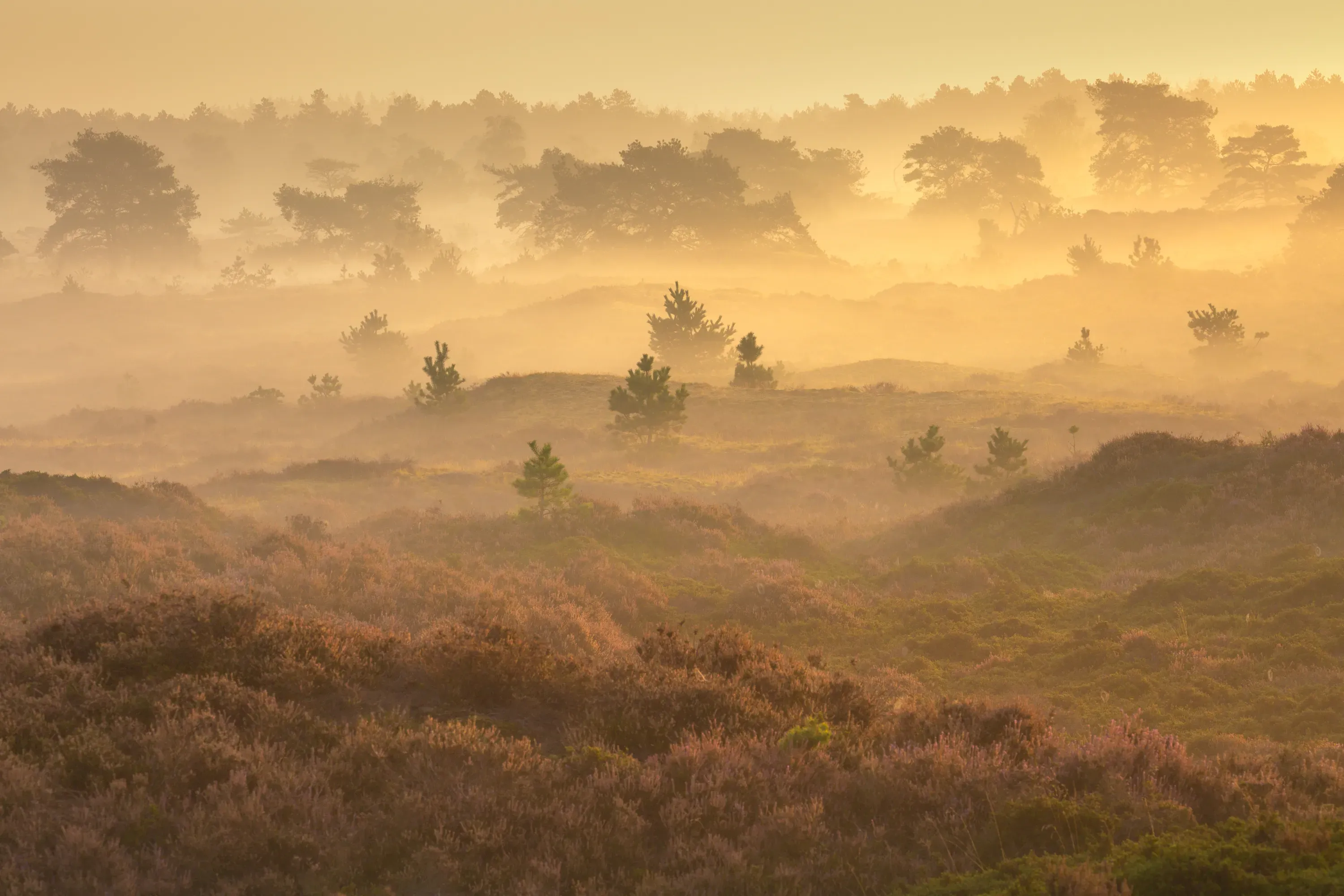 Prachtige landschapsfotografie door Andy Luberti