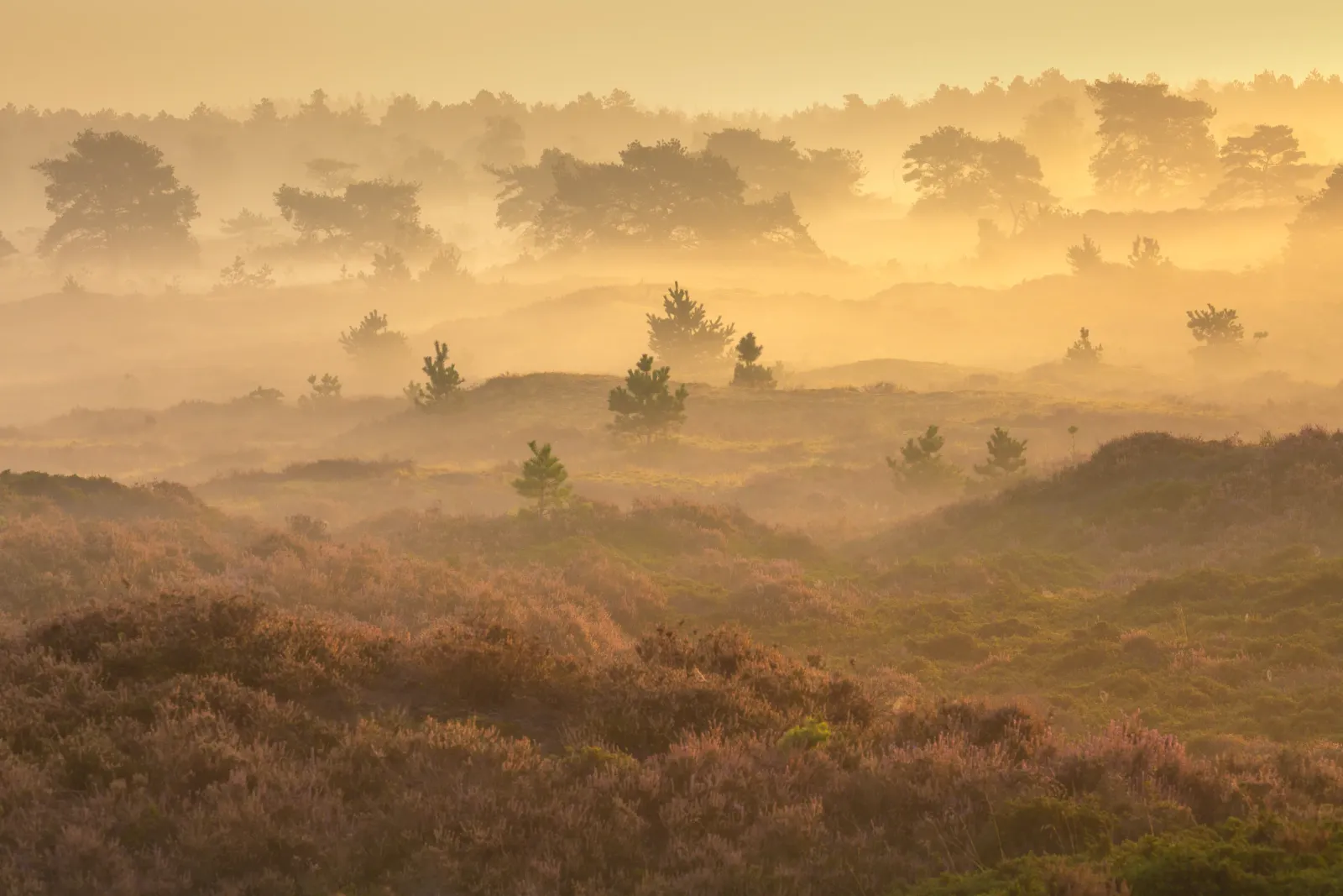 Prachtige landschapsfotografie door Andy Luberti