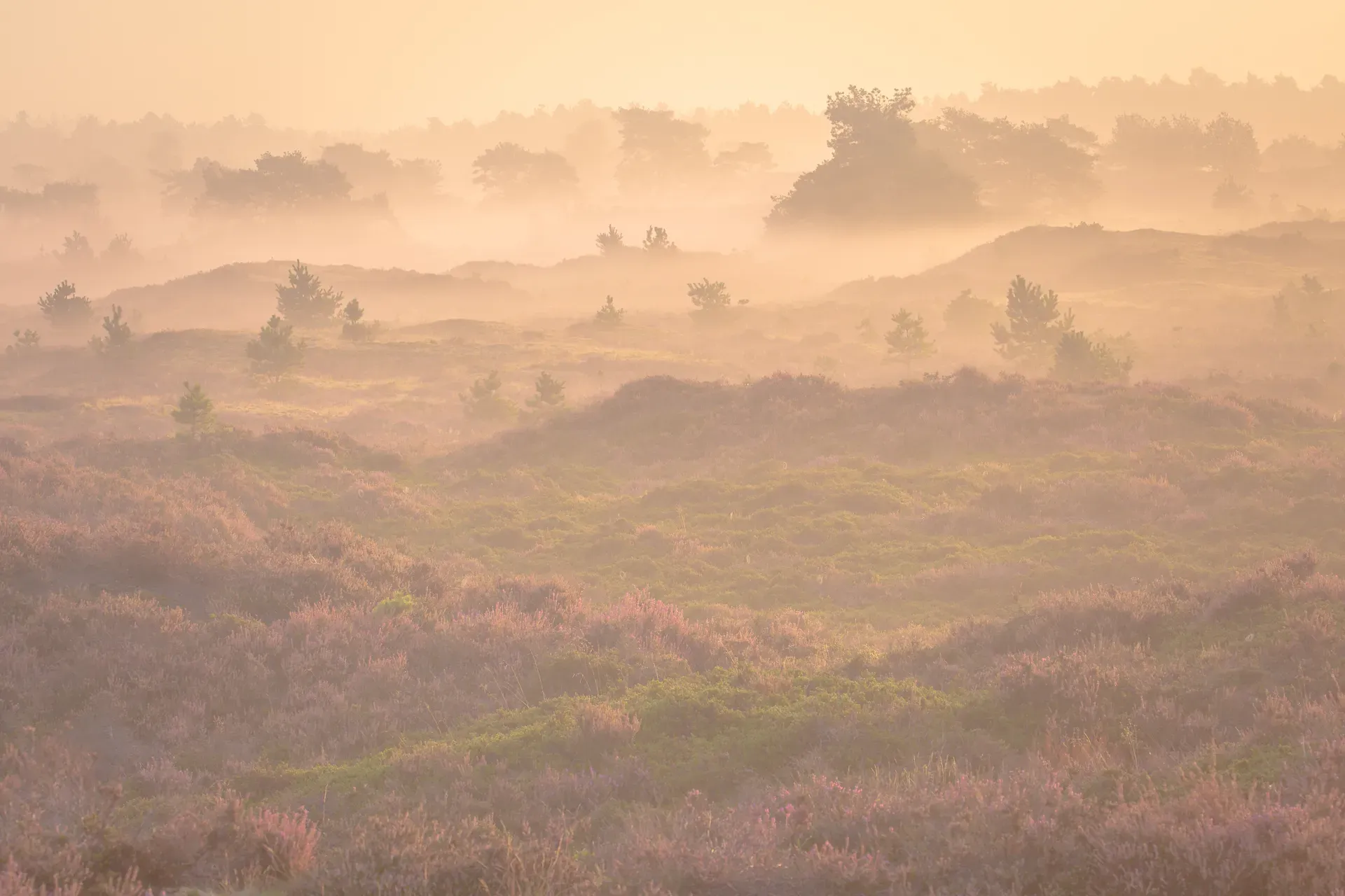 Natuurfotografie van een weids landschap