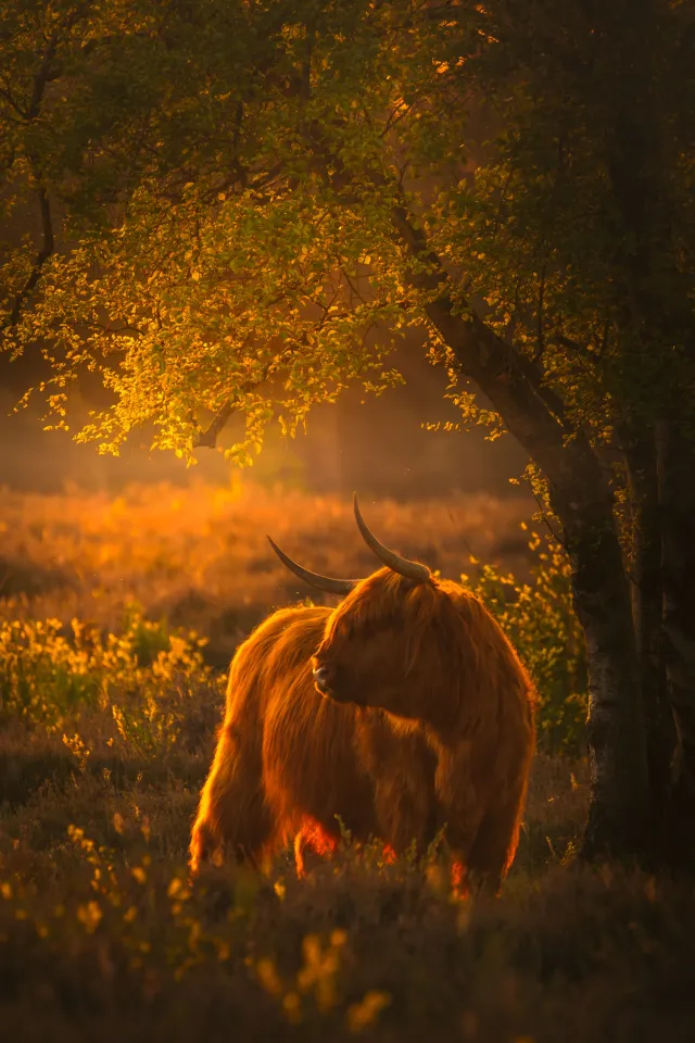 Unieke wildlife momenten vastgelegd