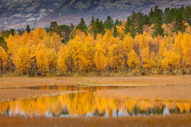 Professionele landschapsfotografie voor canvas FineArt