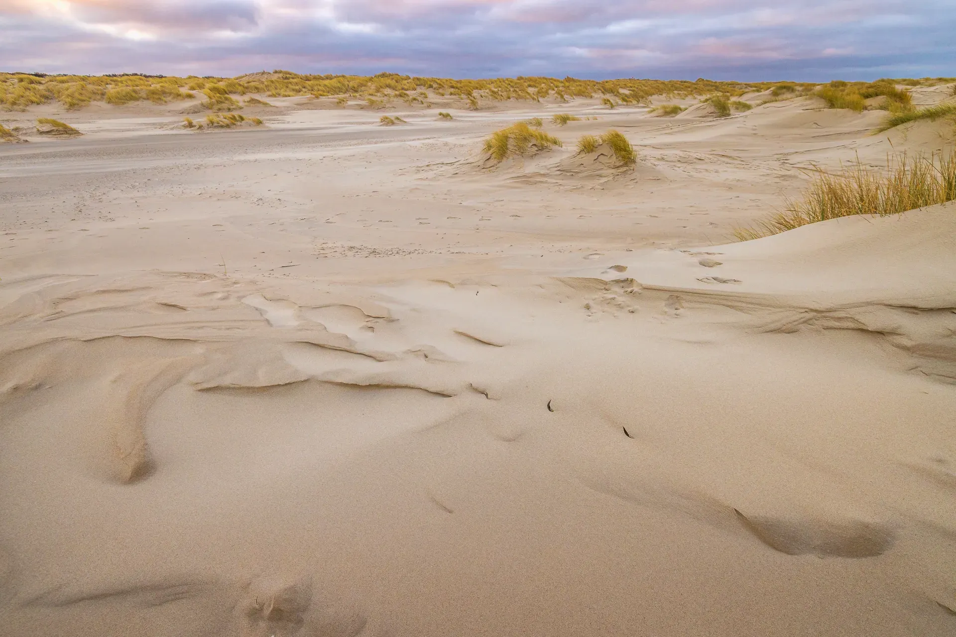 Unieke natuurfoto's van Texel voor fotocadeau's en puzzels