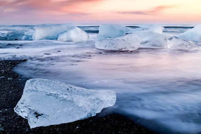 Professionele fotografie van de natuur op Texel
