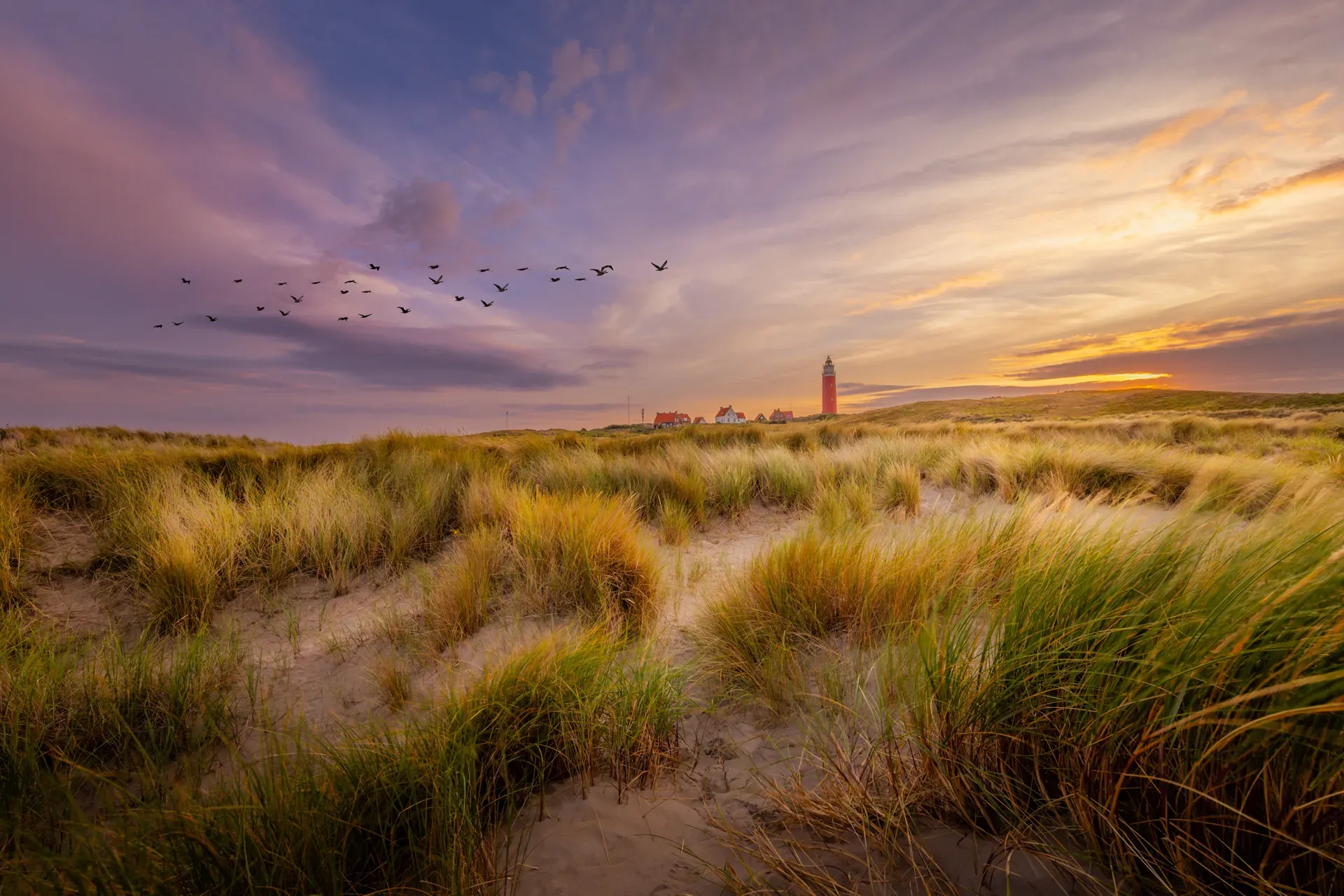 Prachtige natuur en landschappen