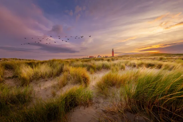 Kleurrijke zonsondergang natuurdecoratie