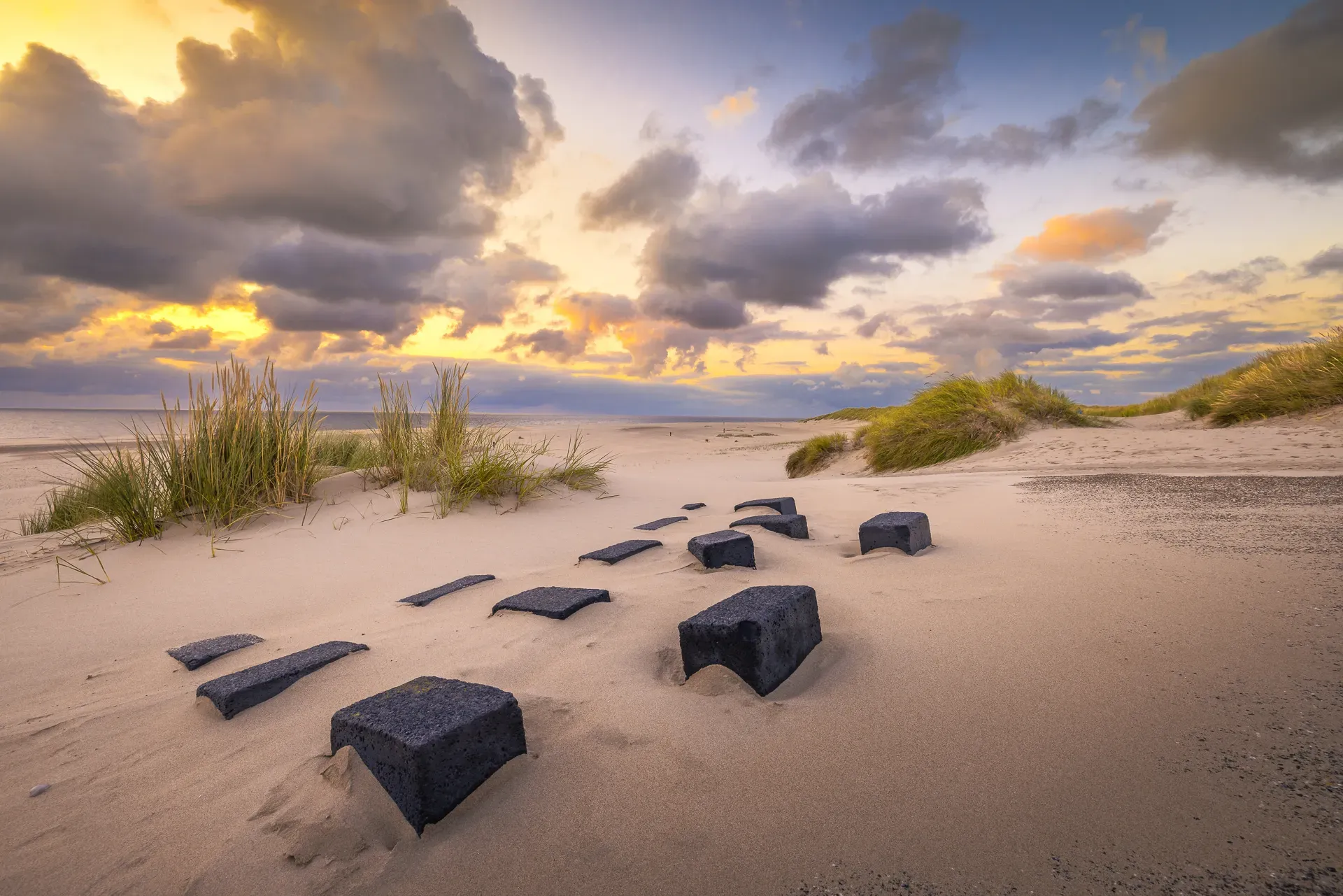 Professionele fotografie van de natuur op Texel