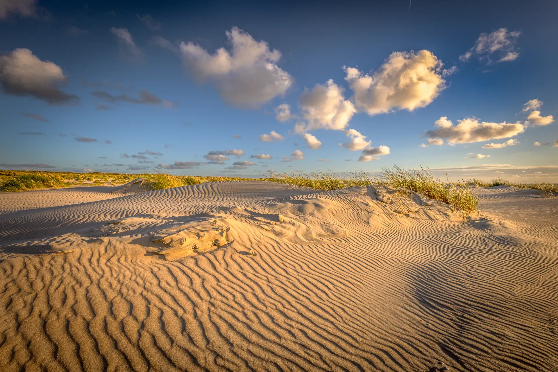 Natuurfotografie van een weids landschap op Texel